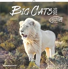 Cats 2026 broschürenkalender gebraucht kaufen  Wird an jeden Ort in Deutschland