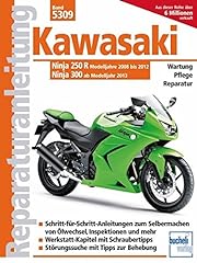 Kawasaki ninja 250 gebraucht kaufen  Wird an jeden Ort in Deutschland