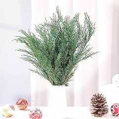 Preserved real pine for sale  Delivered anywhere in USA 
