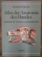 Atlas anatomie hundes gebraucht kaufen  Wird an jeden Ort in Deutschland
