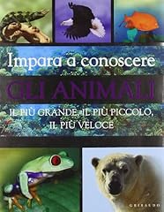 Impara conoscere gli usato  Spedito ovunque in Italia 