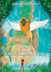 Calie magique amilo d'occasion  Livré partout en France