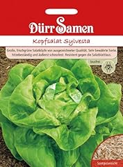 Kopfsalat sylvesta lausfrei gebraucht kaufen  Wird an jeden Ort in Deutschland