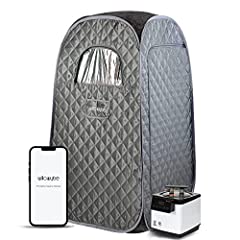 Willowybe portable steam for sale  Delivered anywhere in USA 