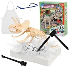 Ausgrabungsset kinder dinosaur gebraucht kaufen  Wird an jeden Ort in Deutschland
