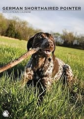 2025 german shorthaired for sale  Delivered anywhere in Ireland