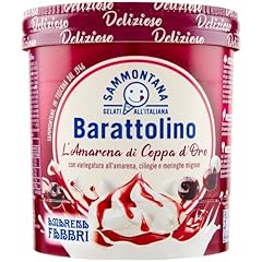 Sammontana barattolino delizie usato  Spedito ovunque in Italia 