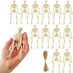 Fingooo mini skeleton for sale  Delivered anywhere in USA 