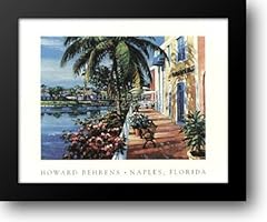 Naples florida 18x15 for sale  Delivered anywhere in USA 