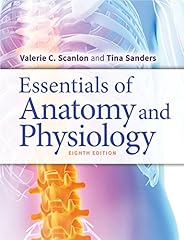 Essentials anatomy physiology for sale  Delivered anywhere in USA 