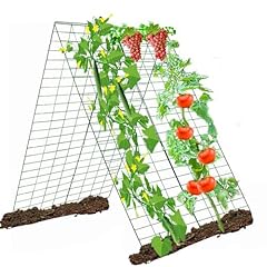 Metal trellis climbing for sale  Delivered anywhere in USA 