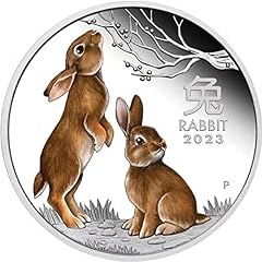 Baokuan the rabbit usato  Spedito ovunque in Italia 