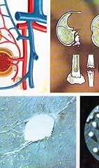 Moderna guida medica usato  Spedito ovunque in Italia 