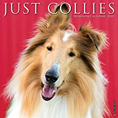 Just Collies 2022 Wall Calendar (Dog Breed) for sale  Delivered anywhere in Canada