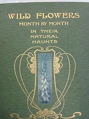 Wild flowers month for sale  Delivered anywhere in UK
