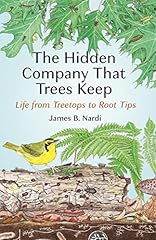 Hidden company trees for sale  Delivered anywhere in UK
