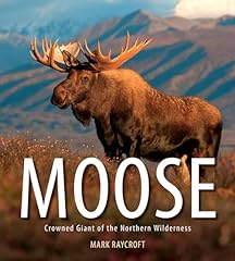 Moose crowned giant for sale  Delivered anywhere in USA 