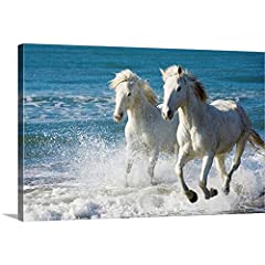 Camargue Horses Running on The Beach, South of France, for sale  Delivered anywhere in Canada