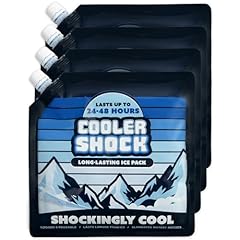 Cooler shock ice for sale  Delivered anywhere in USA 