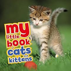 Little book cats for sale  Delivered anywhere in Ireland