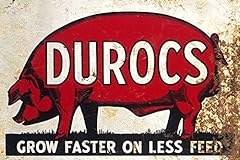 Duroc pig breed for sale  Delivered anywhere in UK