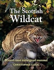 Scottish wildcat britain for sale  Delivered anywhere in UK