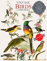 Vintage birds ephemera for sale  Delivered anywhere in UK