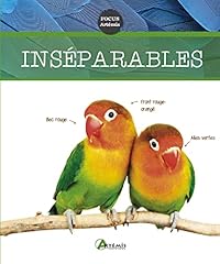 oiseaux inseparable d'occasion  Livré partout en France