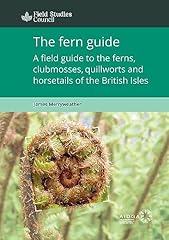 Fern guide field for sale  Delivered anywhere in UK