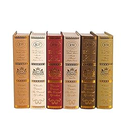 Huanru livre simulation d'occasion  Livré partout en France