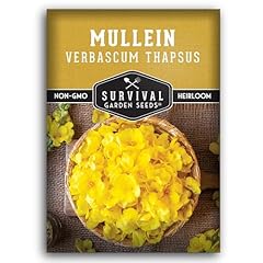 Mullein seed planting for sale  Delivered anywhere in USA 