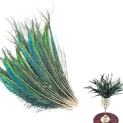 20pcs peacock feathers for sale  Delivered anywhere in Ireland