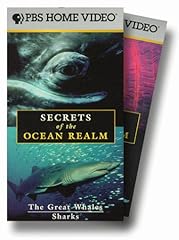 Secrets ocean realm for sale  Delivered anywhere in USA 