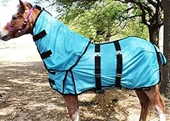 Challenger miniature weanling for sale  Delivered anywhere in USA 