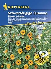 Schwarzäugige susanne thunber gebraucht kaufen  Wird an jeden Ort in Deutschland