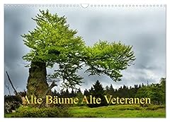 Vieux arbres vieux d'occasion  Livré partout en France