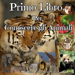 Primo libro per usato  Spedito ovunque in Italia 