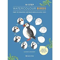 Step watercolour birds for sale  Delivered anywhere in UK