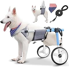Lokshun large dog for sale  Delivered anywhere in USA 