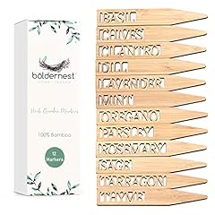 Boldernest bamboo herb for sale  Delivered anywhere in USA 