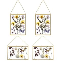 Pcs pressed flower for sale  Delivered anywhere in USA 
