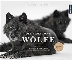 Pipestone wölfe aufstieg gebraucht kaufen  Wird an jeden Ort in Deutschland