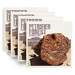 Petrified forest national for sale  Delivered anywhere in USA 