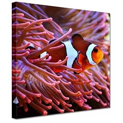 Quadro stampato tela usato  Spedito ovunque in Italia 