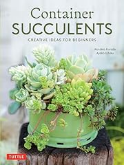 Container succulents creative for sale  Delivered anywhere in USA 