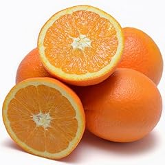 Live orange trees for sale  Delivered anywhere in USA 