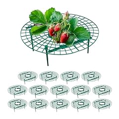 Relaxdays support fraises d'occasion  Livré partout en France