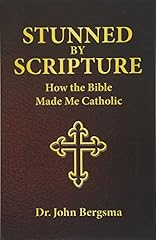 Stunned scripture bible for sale  Delivered anywhere in USA 