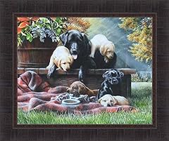 Cozy moments kevin for sale  Delivered anywhere in USA 