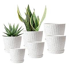 Plant pots indoor for sale  Delivered anywhere in UK